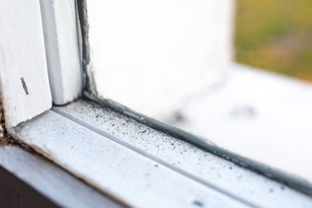 Best Real Estate Mold Inspection  in Bluffton, IN